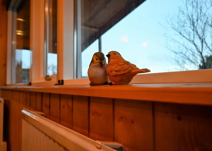 Thingvellir Cabin/Chalet